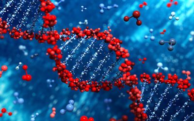 How Your Genes Influence Weight Change