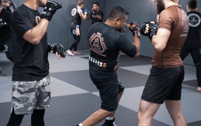The Perfect Martial Art for Self Defense is…
