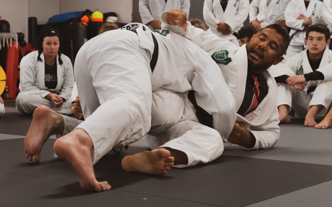 Which is Best for Self- Defense? Brazilian Jiu-Jitsu or Wrestling…Why not both!